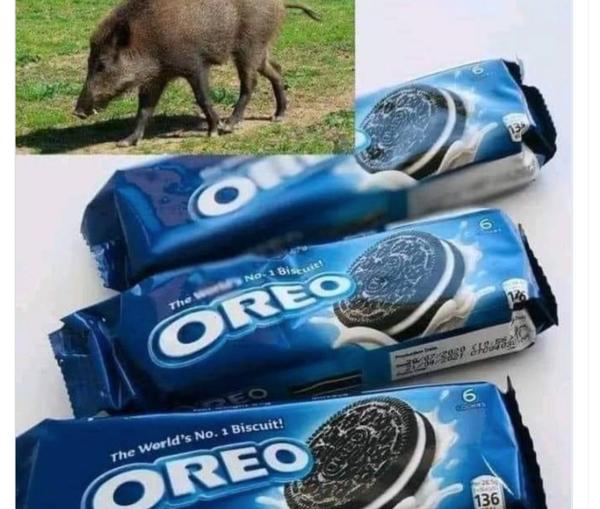 OREO Bisküvisi Domuz Sütü mü İçeriyor?

