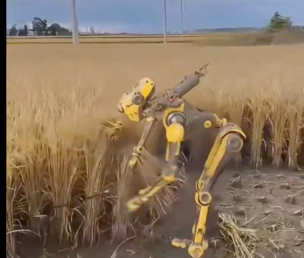 Video Tarlada Çalışan Bir Robotu mu Gösteriyor?